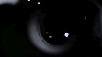 vintage softcore drawings